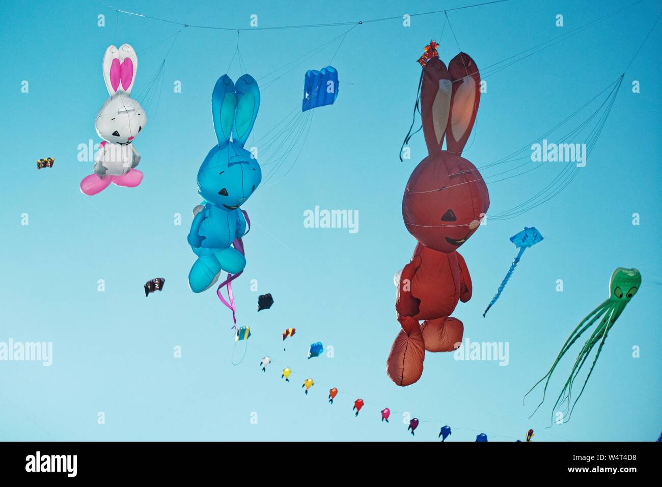 Low angle view of kites flying at kite festival hires stock