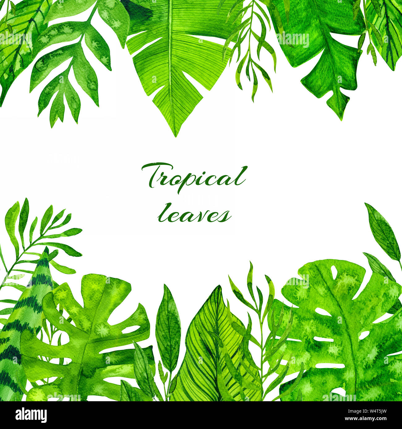 Watercolor tropical leaves frame on white background Stock Photo - Alamy