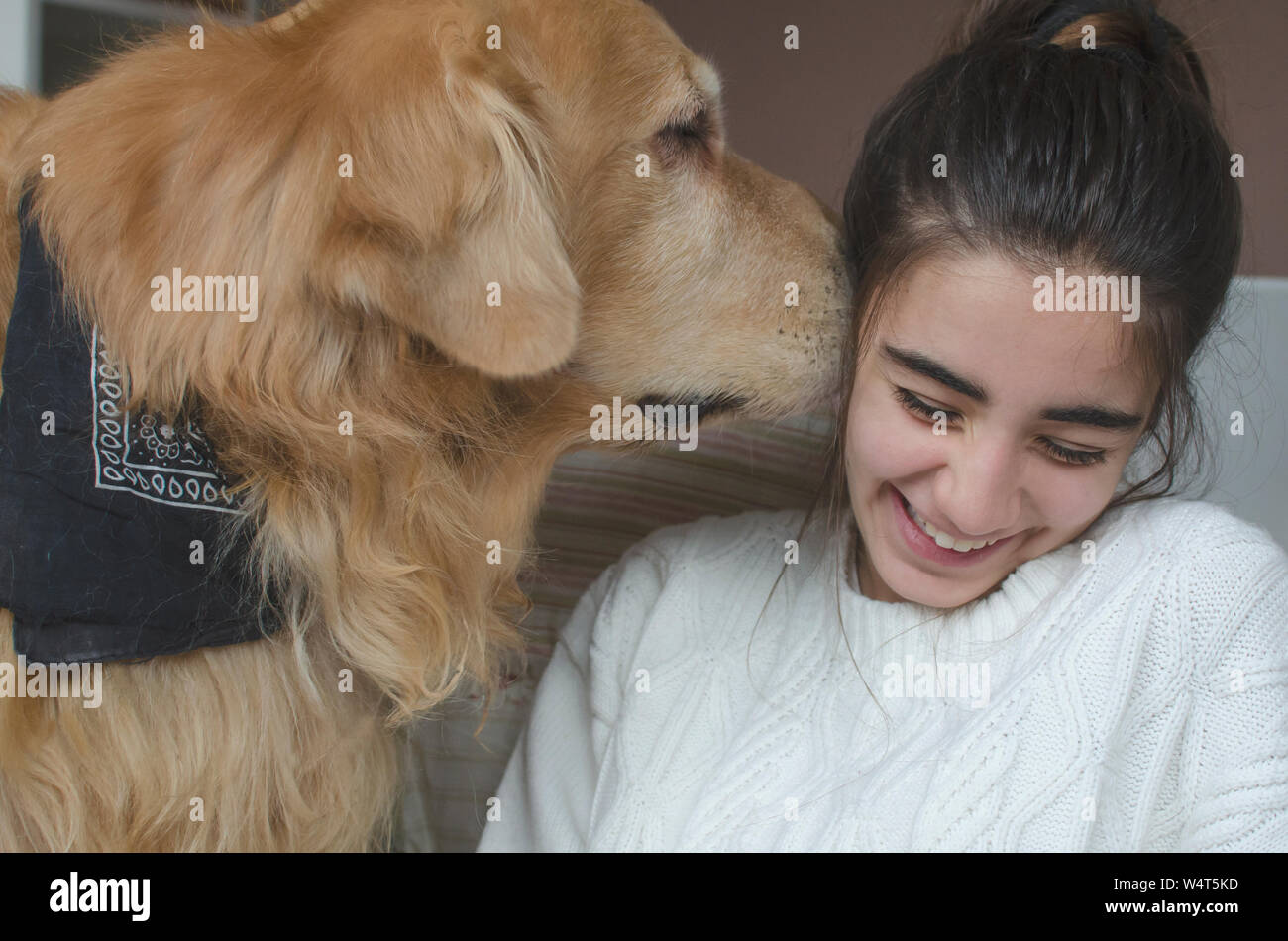 Golden retriever dog nuzzling a teenage girl's ear Stock Photo