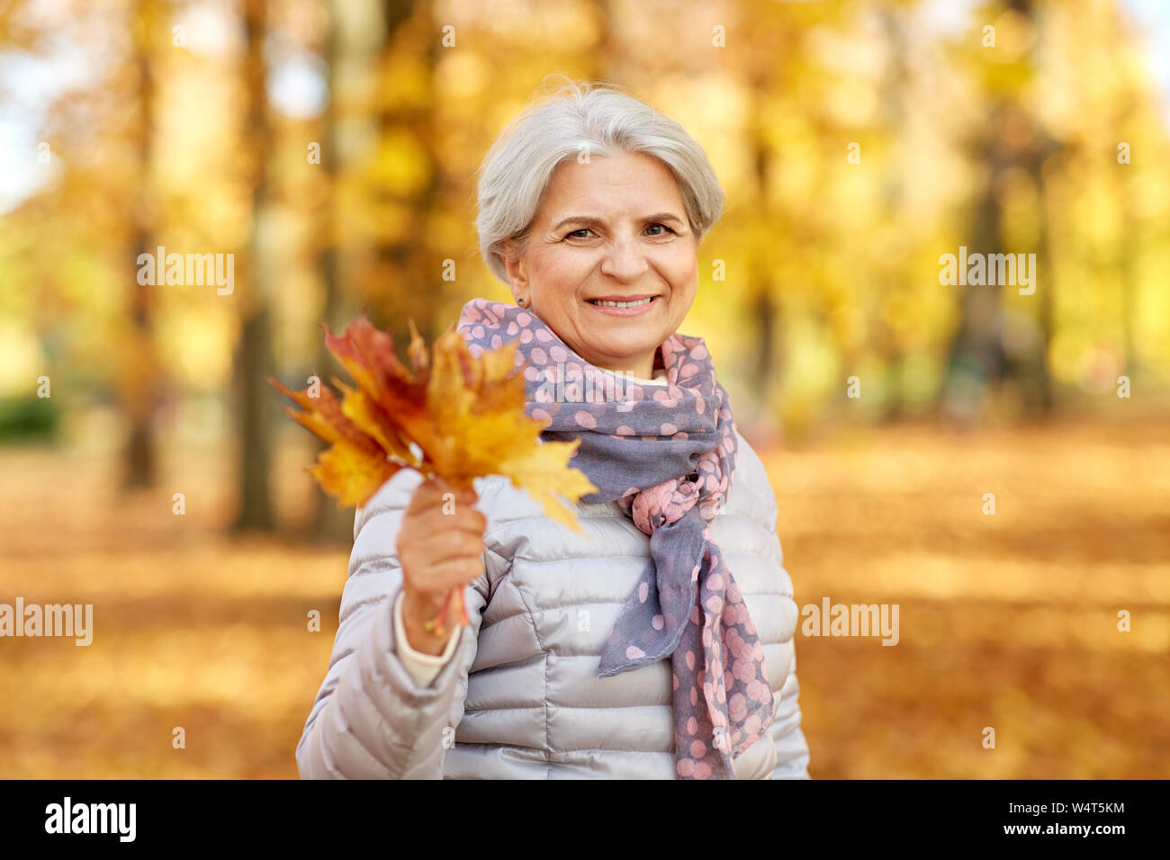 senior woman with maple leaves at autumn park Stock Photo - Alamy