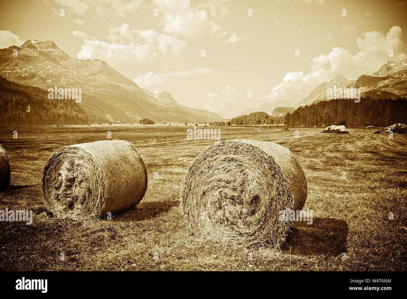 Walking Around Sils Lake Upper Engadine Valley Switzerland Toned 
