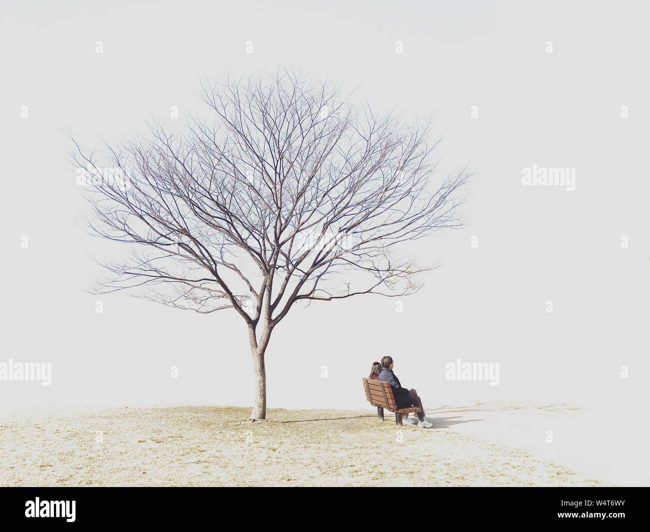 Two people sitting on a park bench under a tree, South Korea Stock Photo