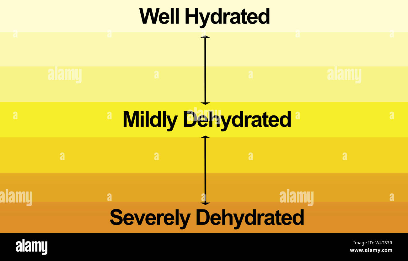 How well Hydrated are you? Hydration and Dehydration Chart Stock Photo
