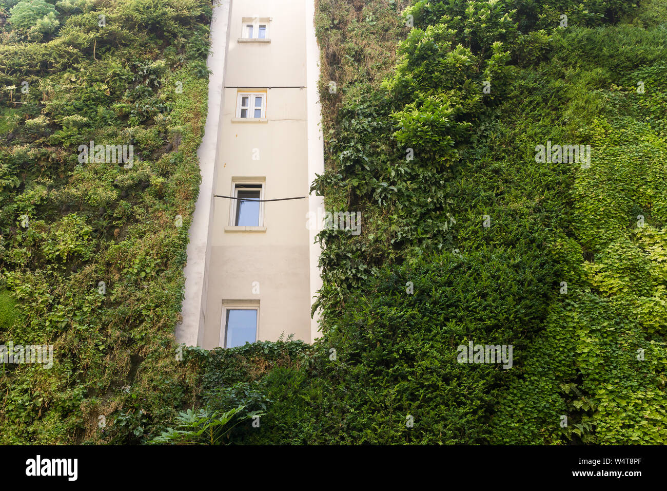 Living wall Paris - Vertical garden made by Patrick Blanc on Rue d'Alsace in Paris, France, Europe. Stock Photo