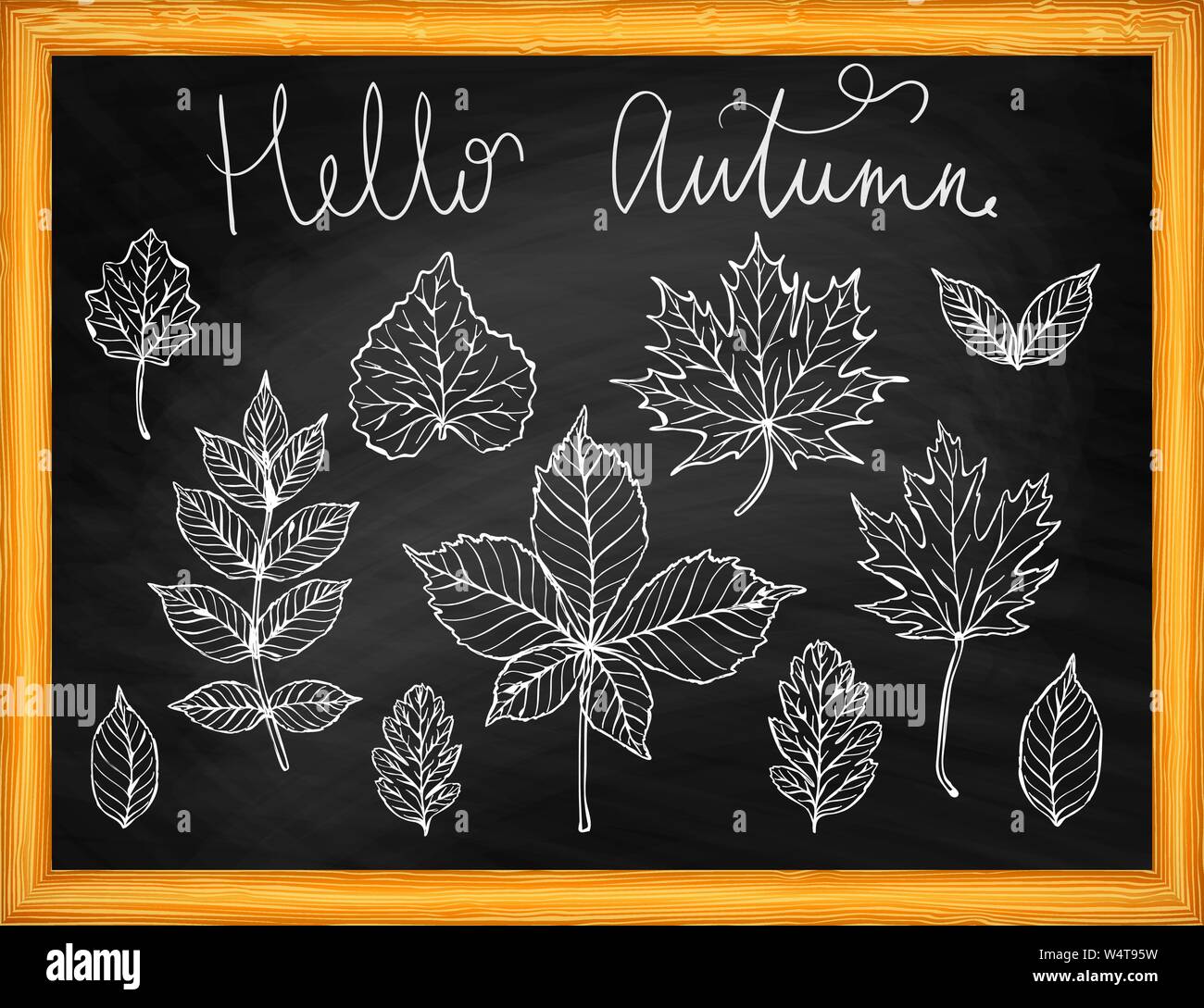 Hello autumn leaves silhouette on chalkboard vector background Stock ...