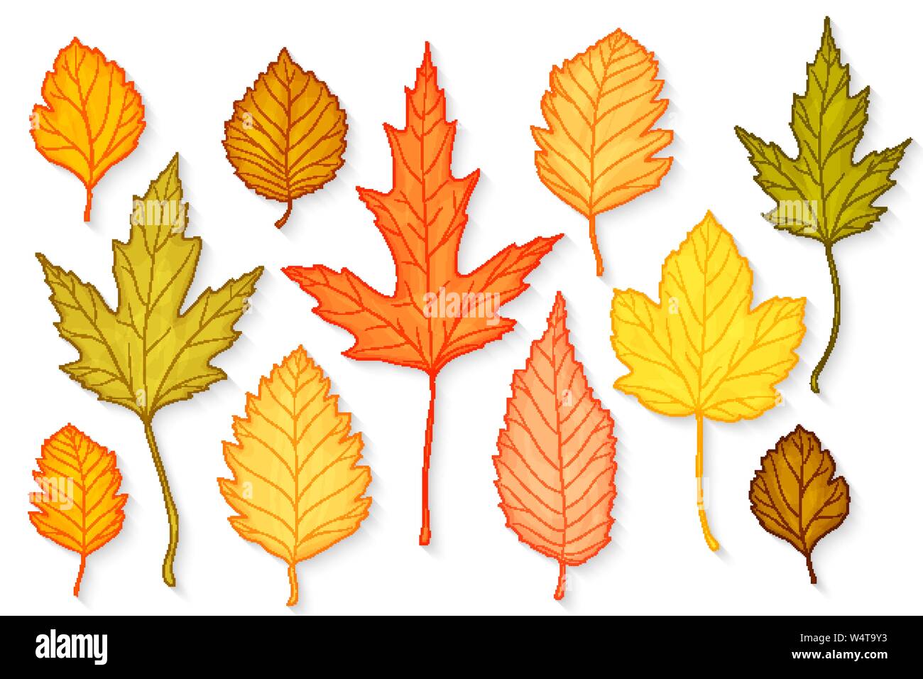 Autumn leaves set vector Stock Vector Image & Art - Alamy