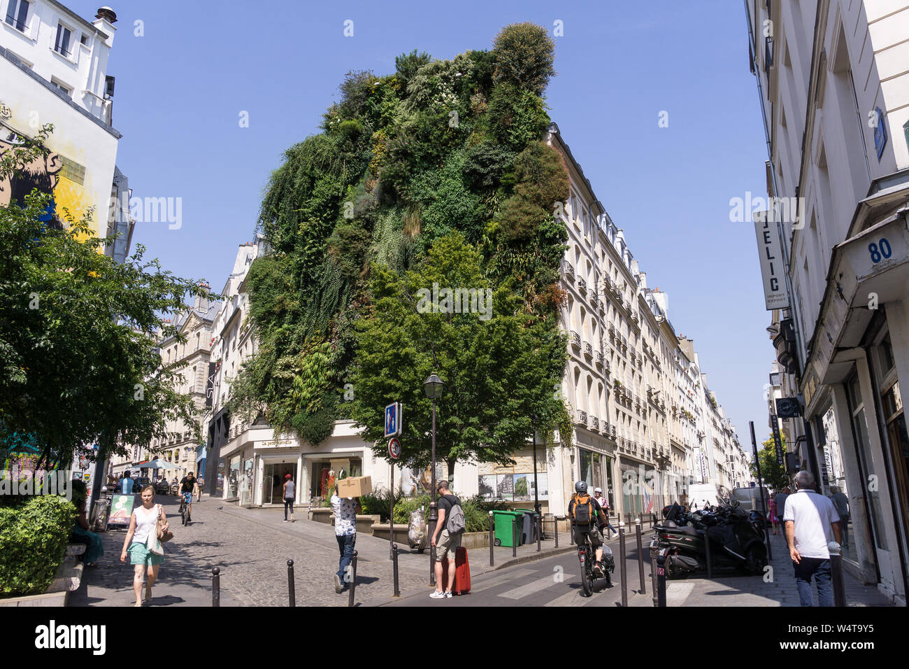 Living wall Paris - Vertical garden (L'oasis d'Aboukir) made by Patrick Blanc on Rue d'Aboukir in Paris, France, Europe. Stock Photo