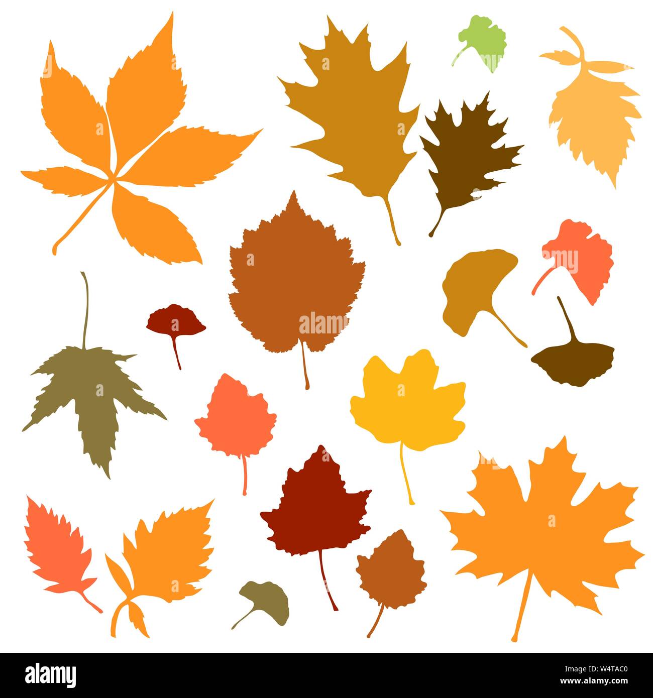 Autumn leaves set on white background vector Stock Vector Image & Art ...
