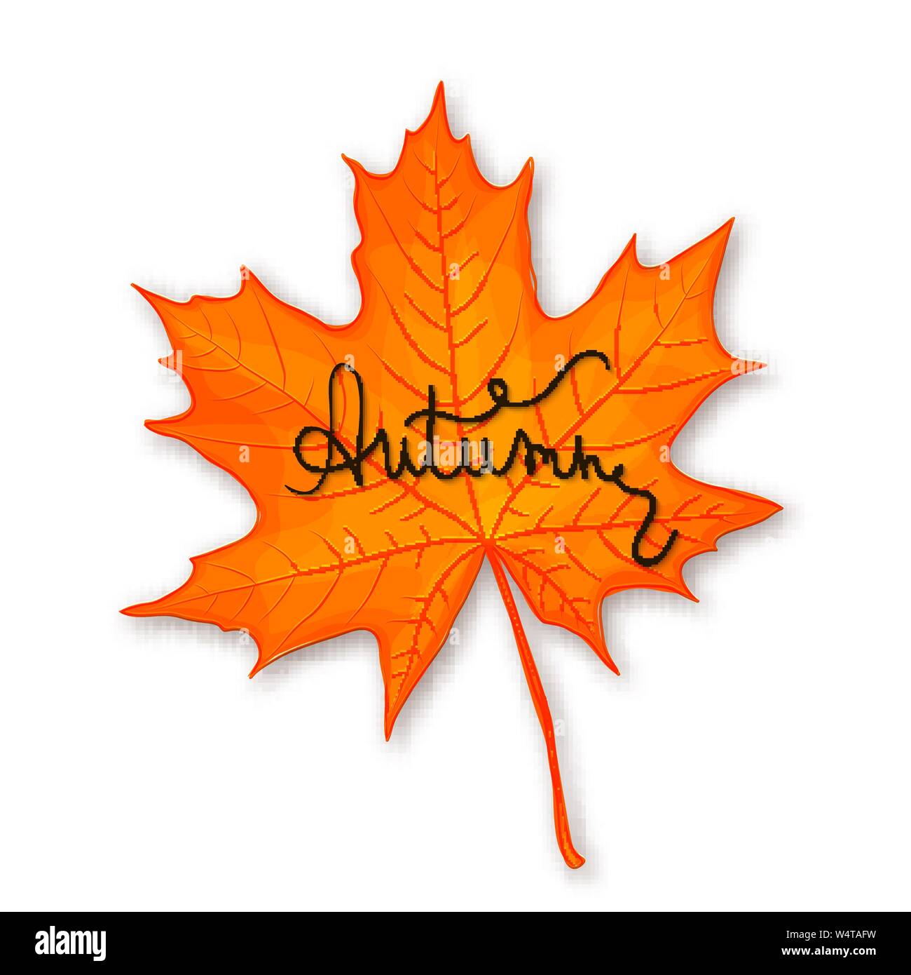 Autumn vector background with maple leaf on white Stock Vector