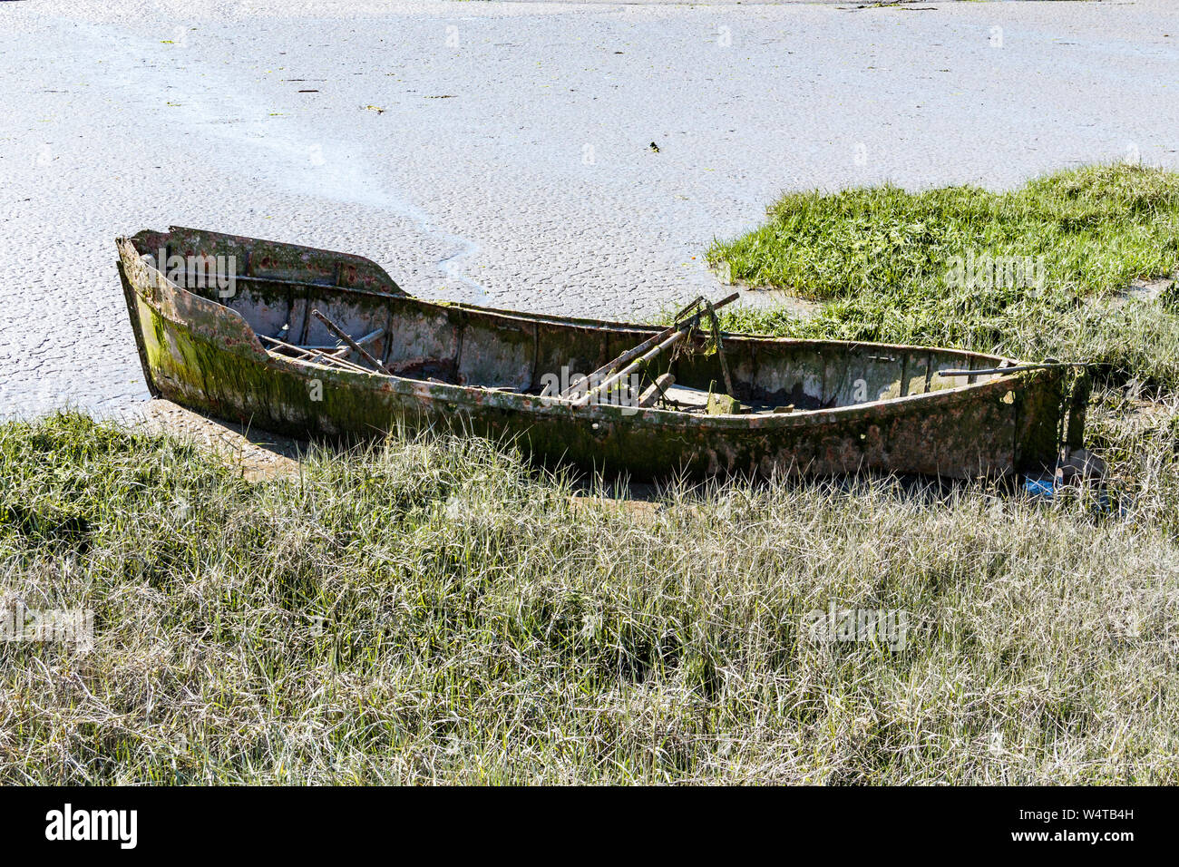 An abandoned and dilapidated boat moored in the reed beds of the River Torridge at low tide at East The Water, Bideford, Devon, UK Stock Photo
