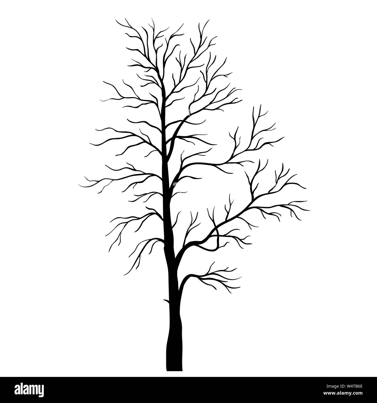 Tree silhouette vector Stock Vector