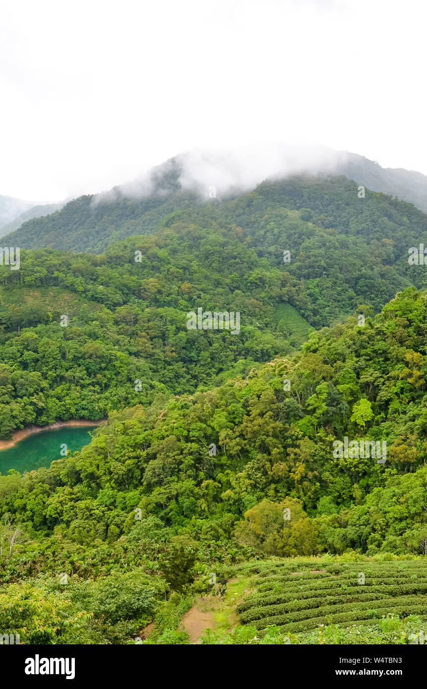 Vertical photo of green Taiwanese lanscape by Thousand Island Lake. Adjacent Pinglin Tea Plantation by the coast. Foggy, moody landscapes. Tropical forest. Travel places in Taiwan. Stock Photo
