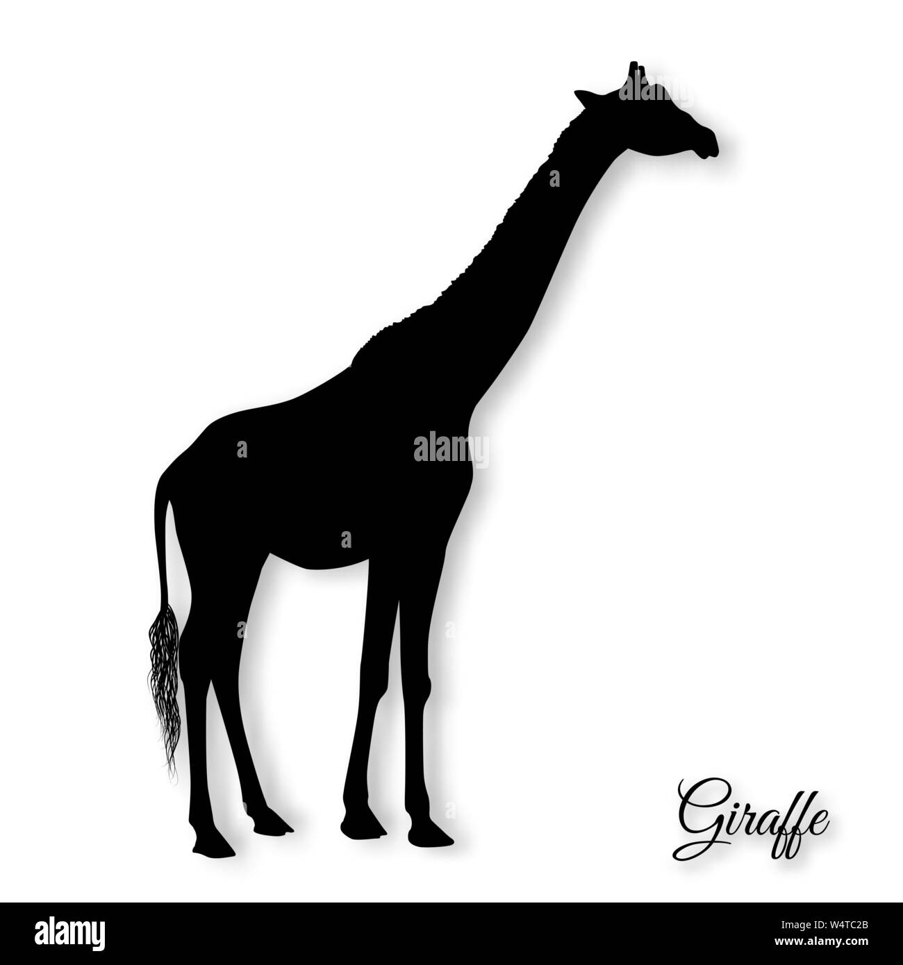Giraffe silhouette vector hi-res stock photography and images - Alamy