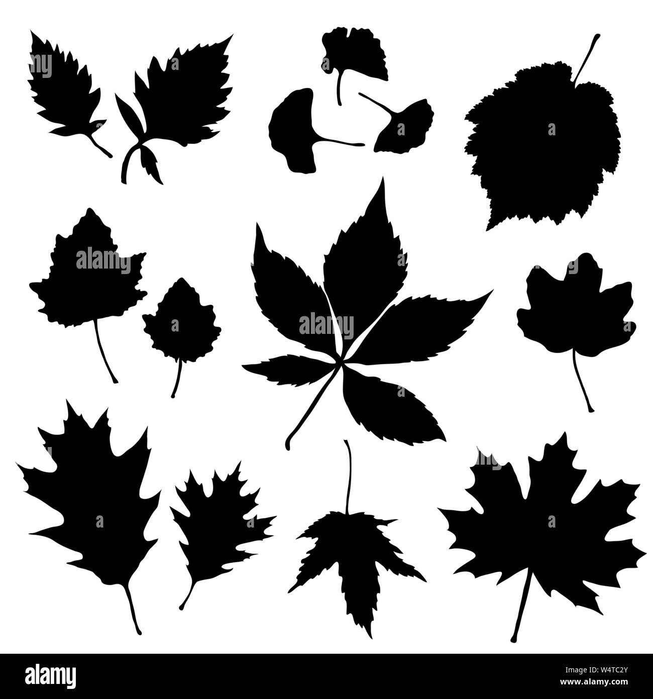 Vector set of leaves silhouette Stock Vector Image & Art - Alamy