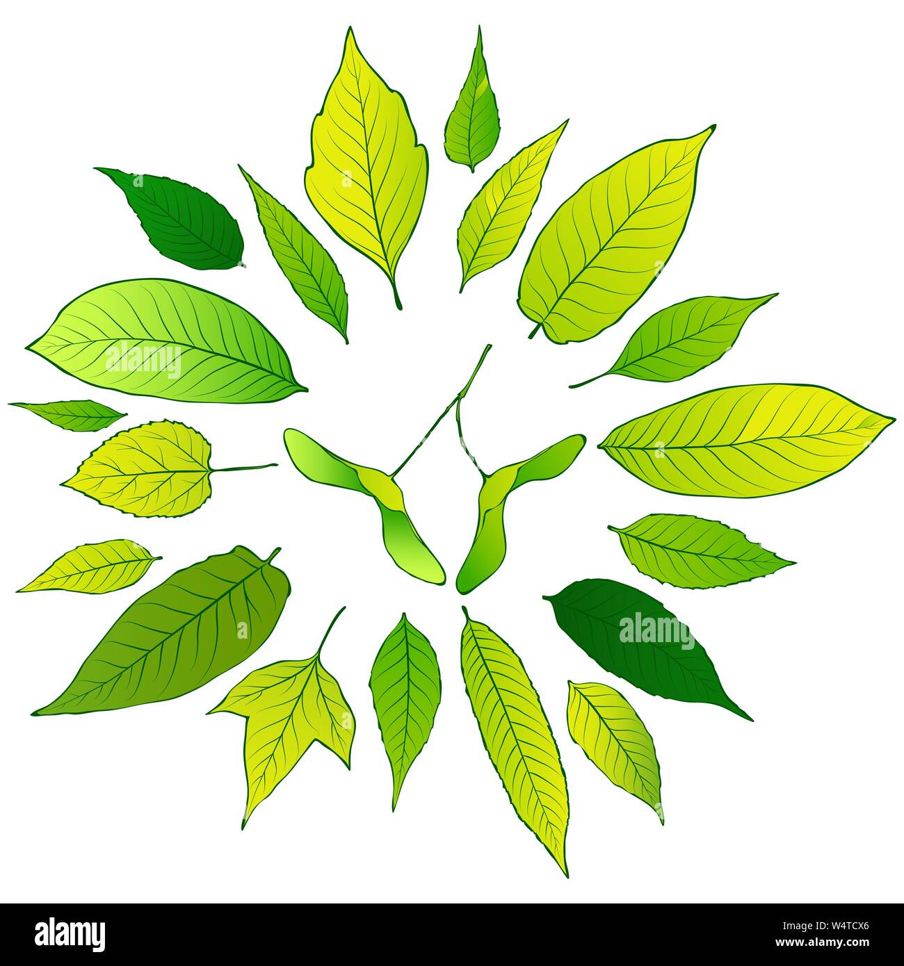 Vector frame of green leaves Stock Vector Image & Art - Alamy