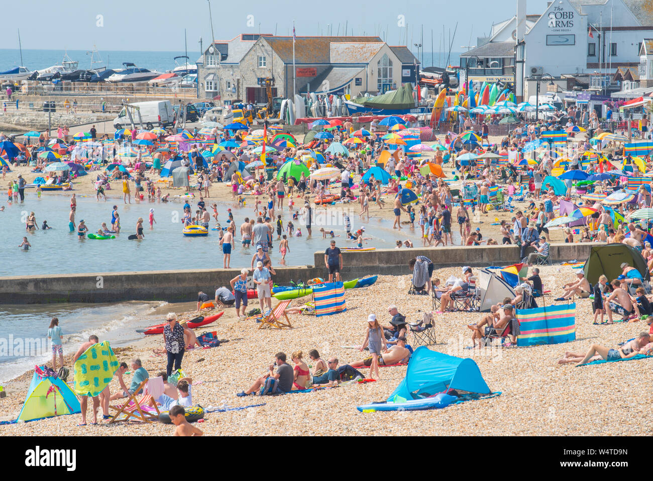 Lyme Regis, Dorset, UK. 25th July 2019. UK Weather: Crowds of sunskeekers swelter in record breaking heat on the beach at the seaside resort of Lyme Regis on what is expected to be the hottest day in the UK ever.  British holidaymakers swelter in sizzling hot sunshine on the town's packed beach as temperatures soar towards 40 degrees centigrade.  The cooling sea is welcome relief from the searing heat as the July heatwave continues. Credit: Celia McMahon/Alamy Live News. Stock Photo