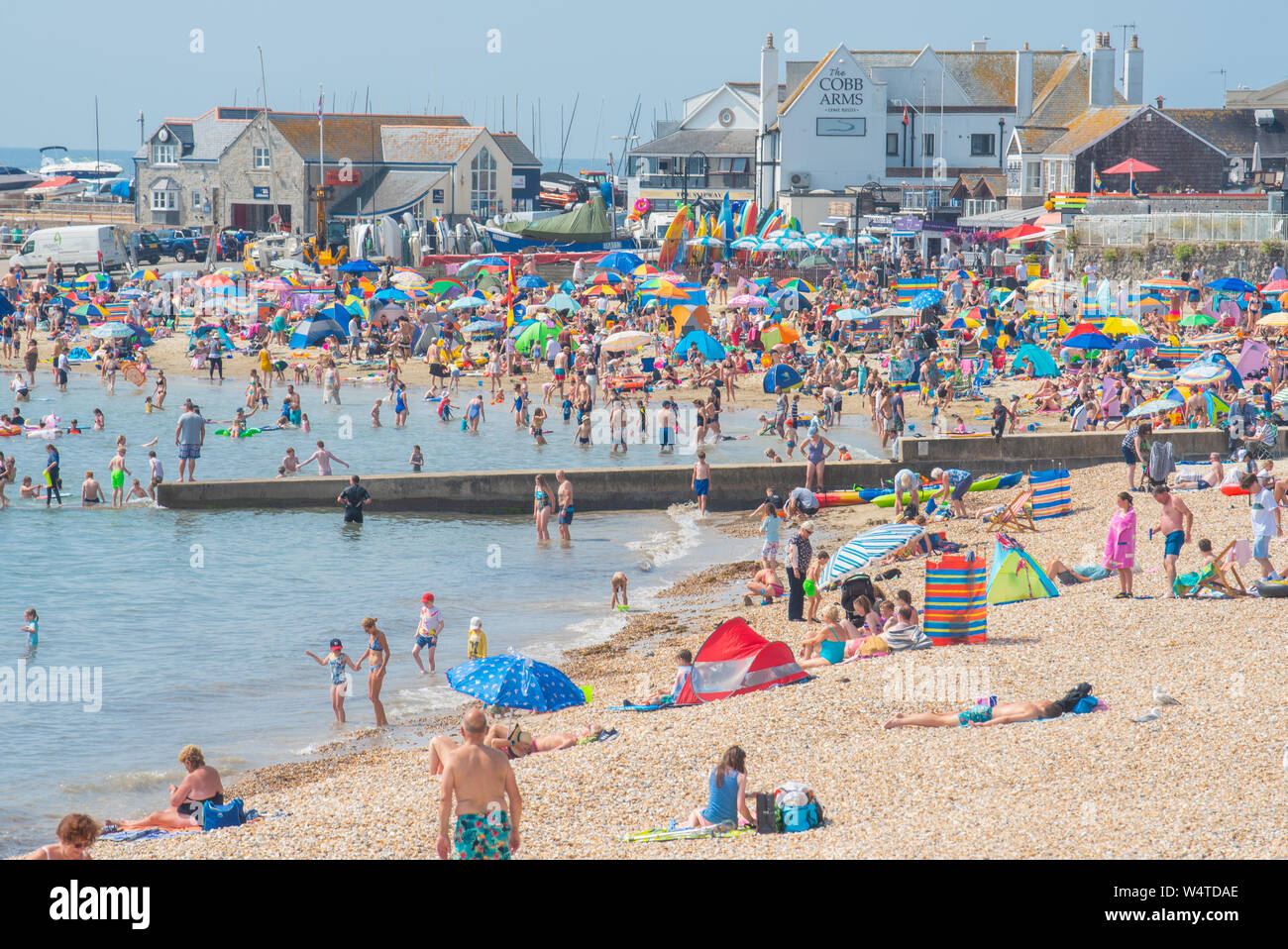 Lyme Regis, Dorset, UK. 25th July 2019. UK Weather: Crowds of sunskeekers swelter in record breaking heat on the beach at the seaside resort of Lyme Regis on what is expected to be the hottest day in the UK ever.  British holidaymakers swelter in sizzling hot sunshine on the town's packed beach as temperatures soar towards 40 degrees centigrade.  The cooling sea is welcome relief from the searing heat as the July heatwave continues. Credit: Celia McMahon/Alamy Live News. Stock Photo