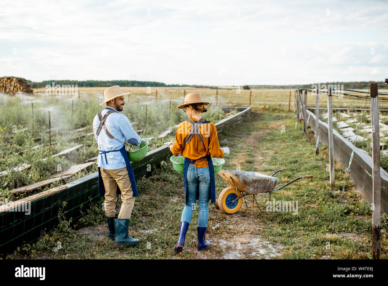 Back view two farmers walking hi-res stock photography and images - Alamy