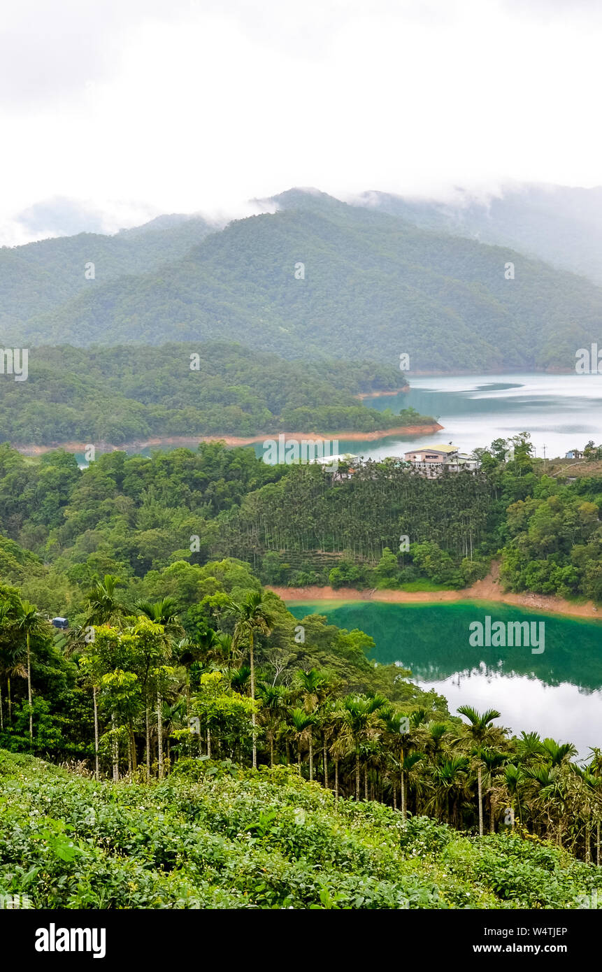 Vertical photography of amazing Thousand Island Lake and tea plantations on the adjacent slopes. Green tropical forest around. Misty weather. Chinese landscape, Asia. Stock Photo