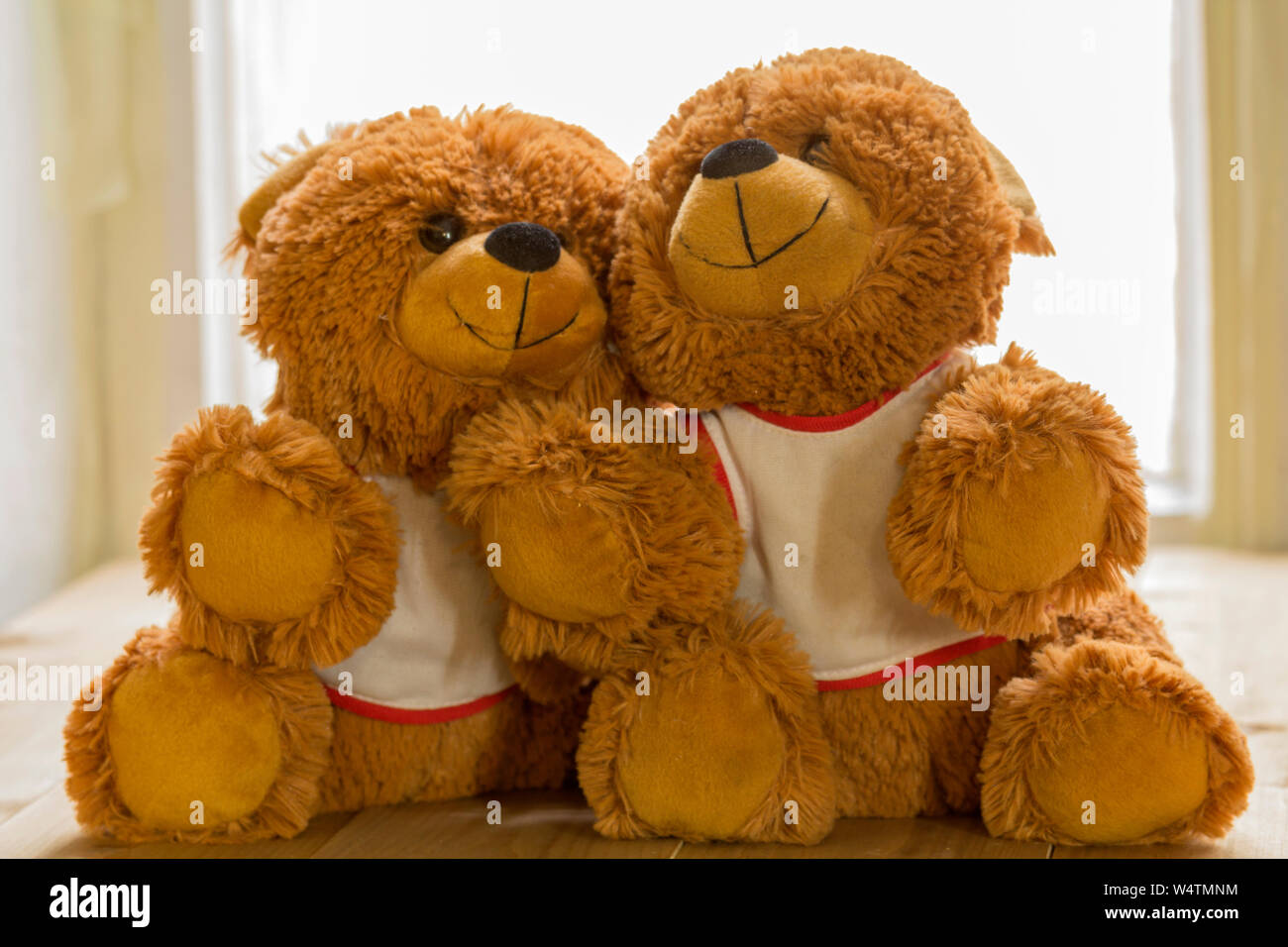 2 teddy bears hugging each other