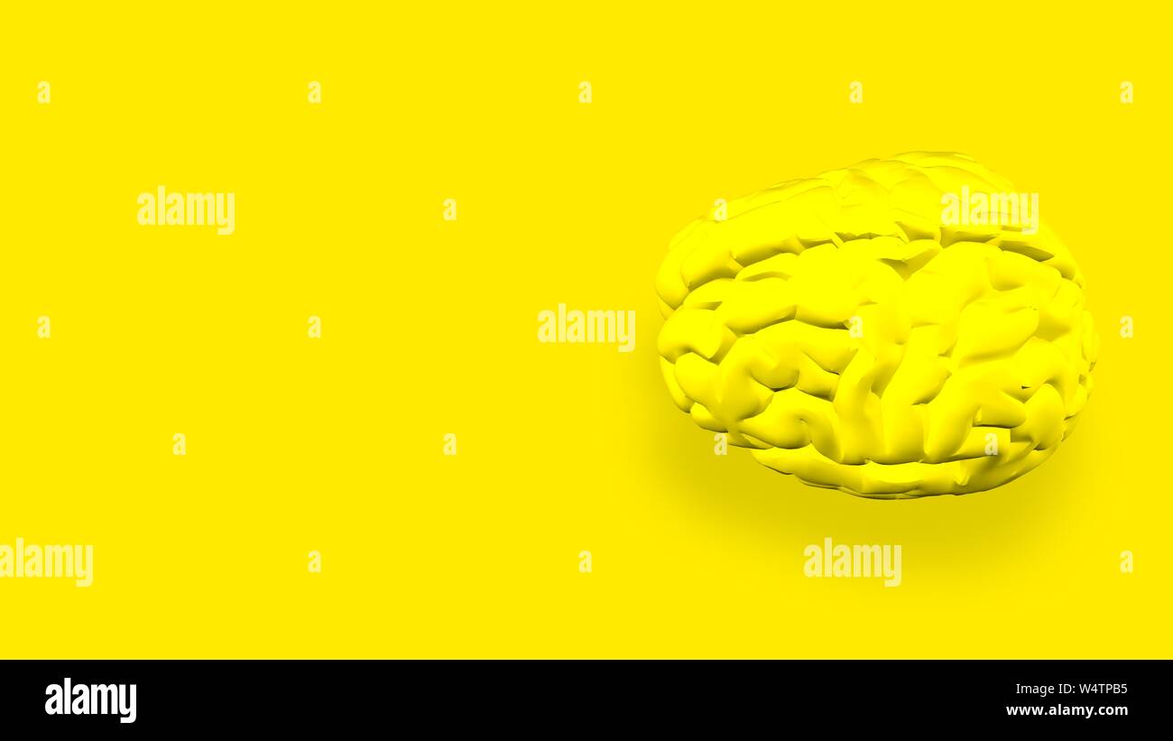 Human brain isolated on a colored background. Anatomical 3D model of ...