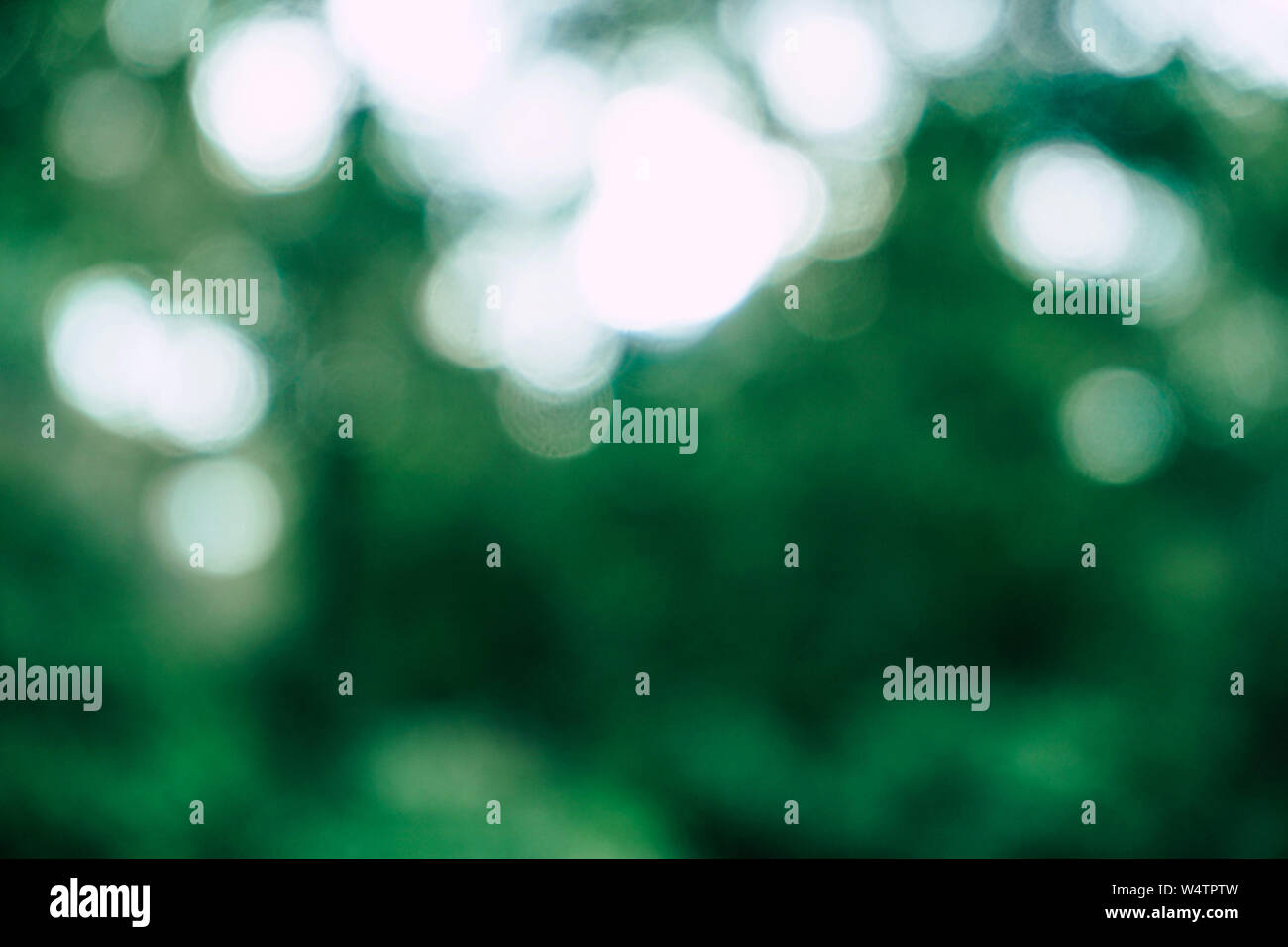 Natural green bokeh background Stock Photo