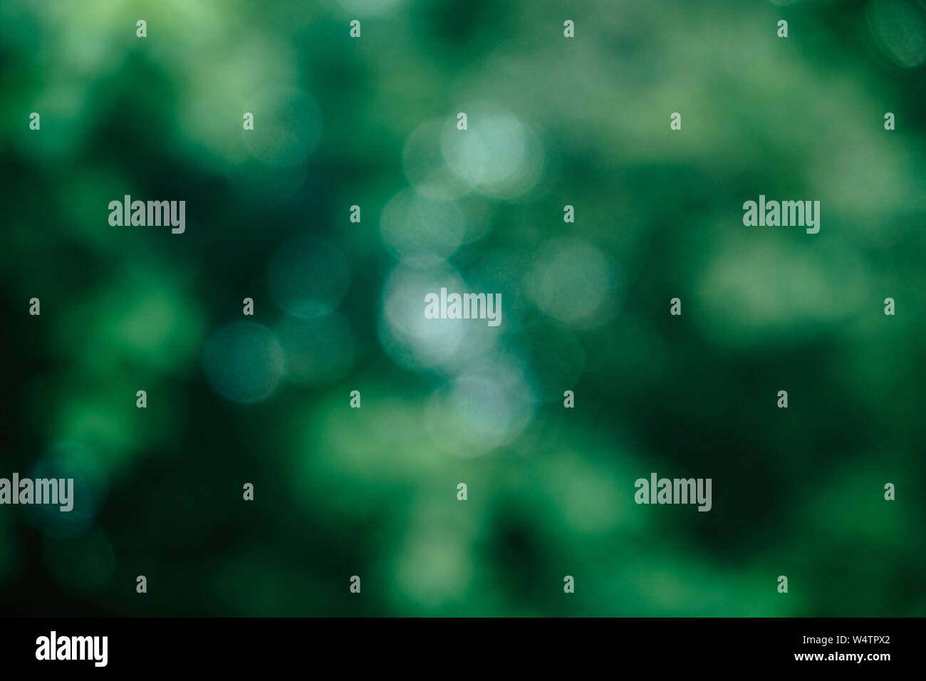 Natural green bokeh background Stock Photo