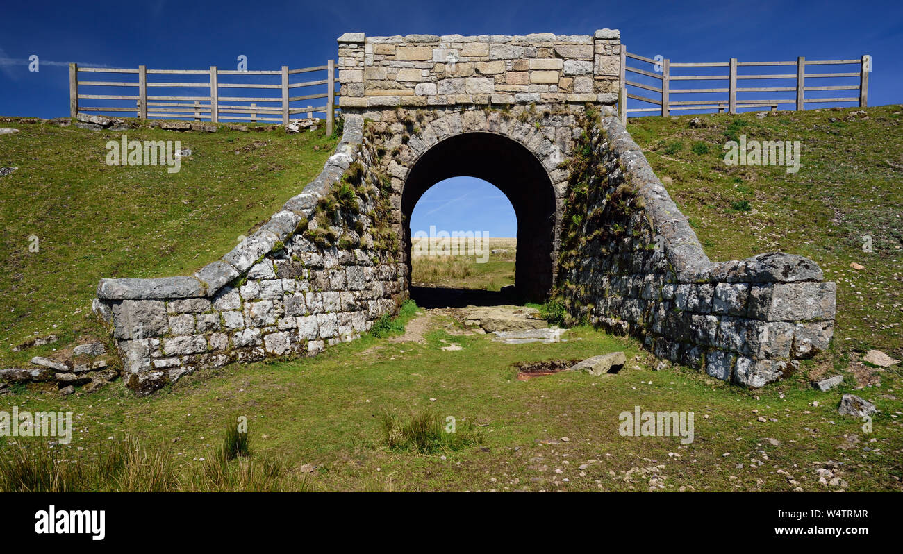 A bridge carrying the elevated trackbed of the former Princetown