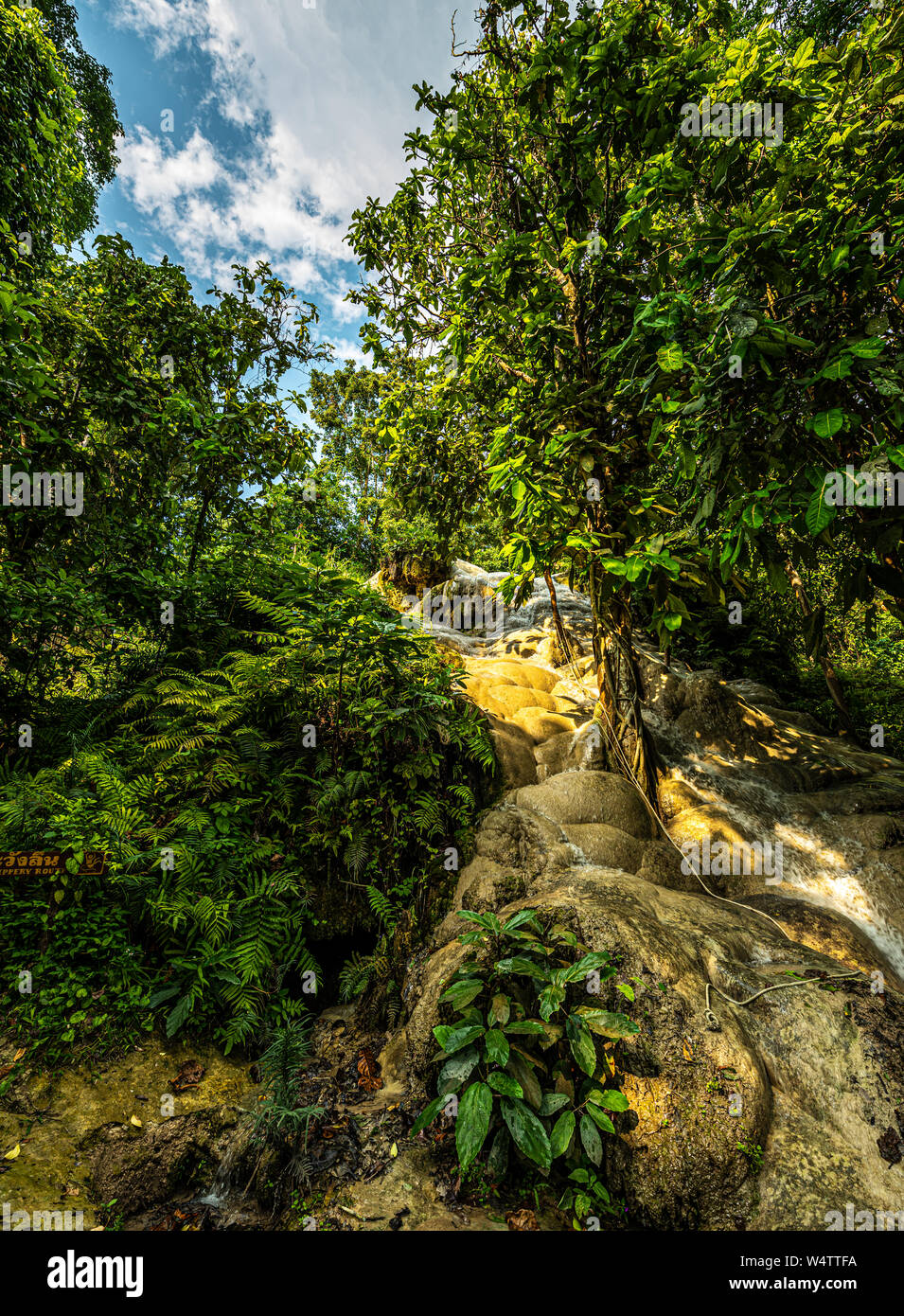 Bua tong sticky waterfalls hi-res stock photography and images - Alamy