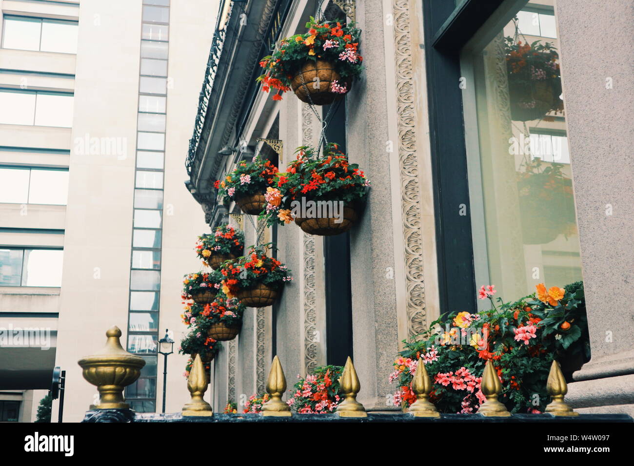 Flowerpots with colorful flowers hanging on a wall in London, UK. Stock Photo