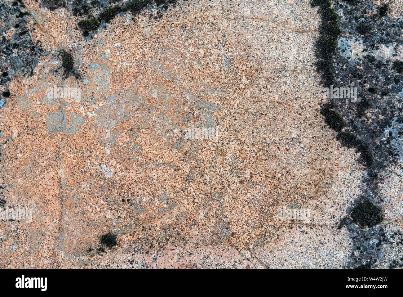 Stone texture. Pink granite surface. Stock Photo