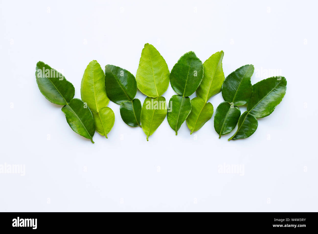Bergamot Herb Leaves