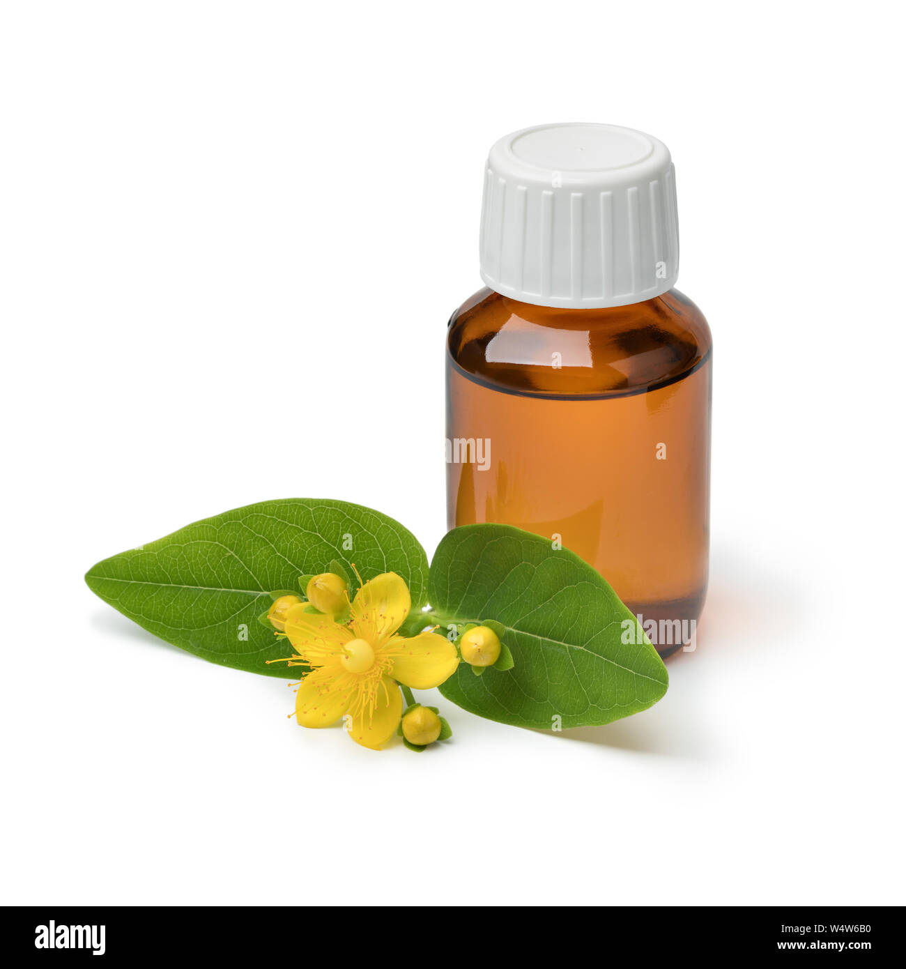 St. john's wort oil Cut Out Stock Images & Pictures Alamy