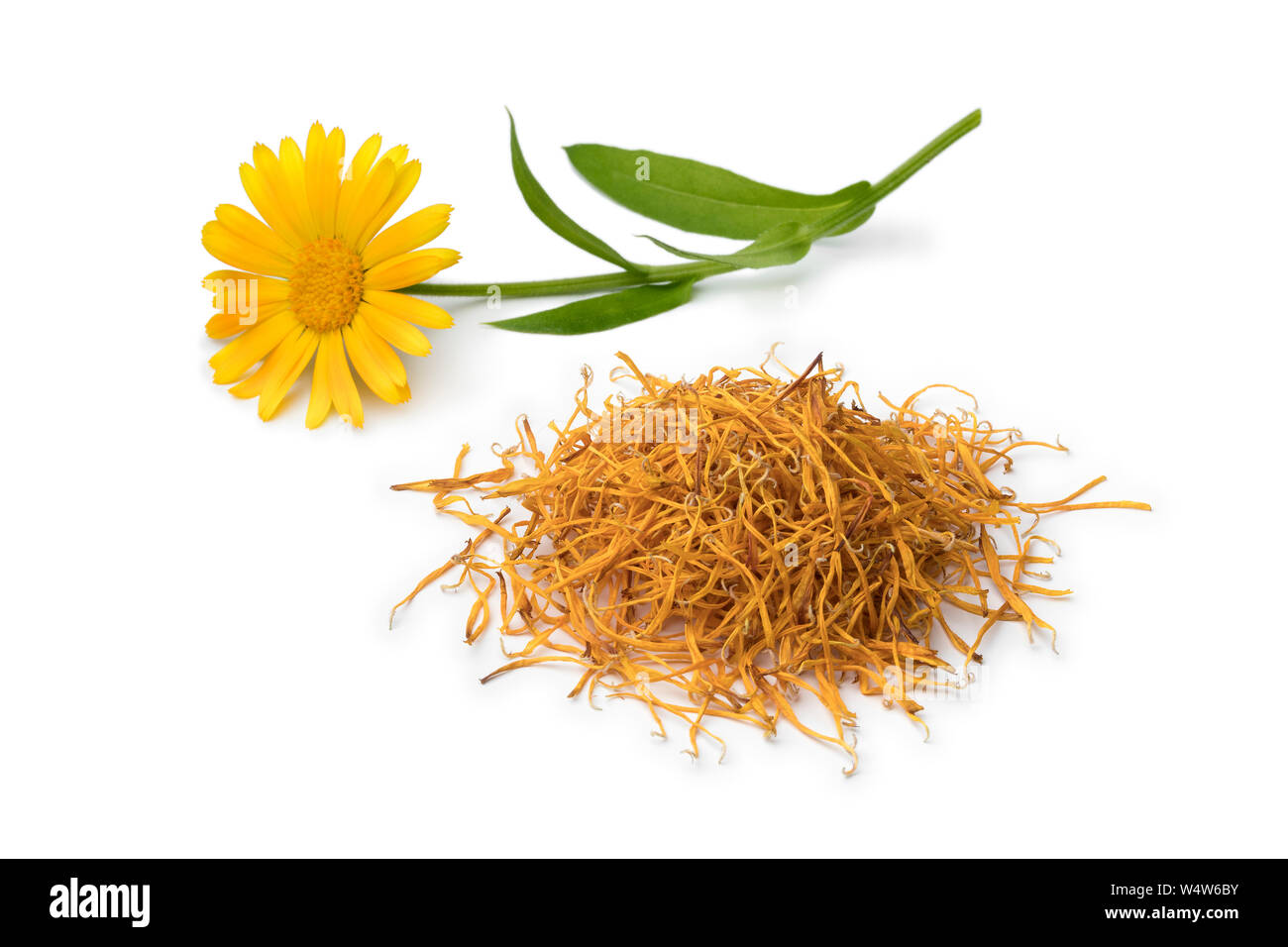 Calendula flower and a heap of dried leaves isolated on white background Stock Photo