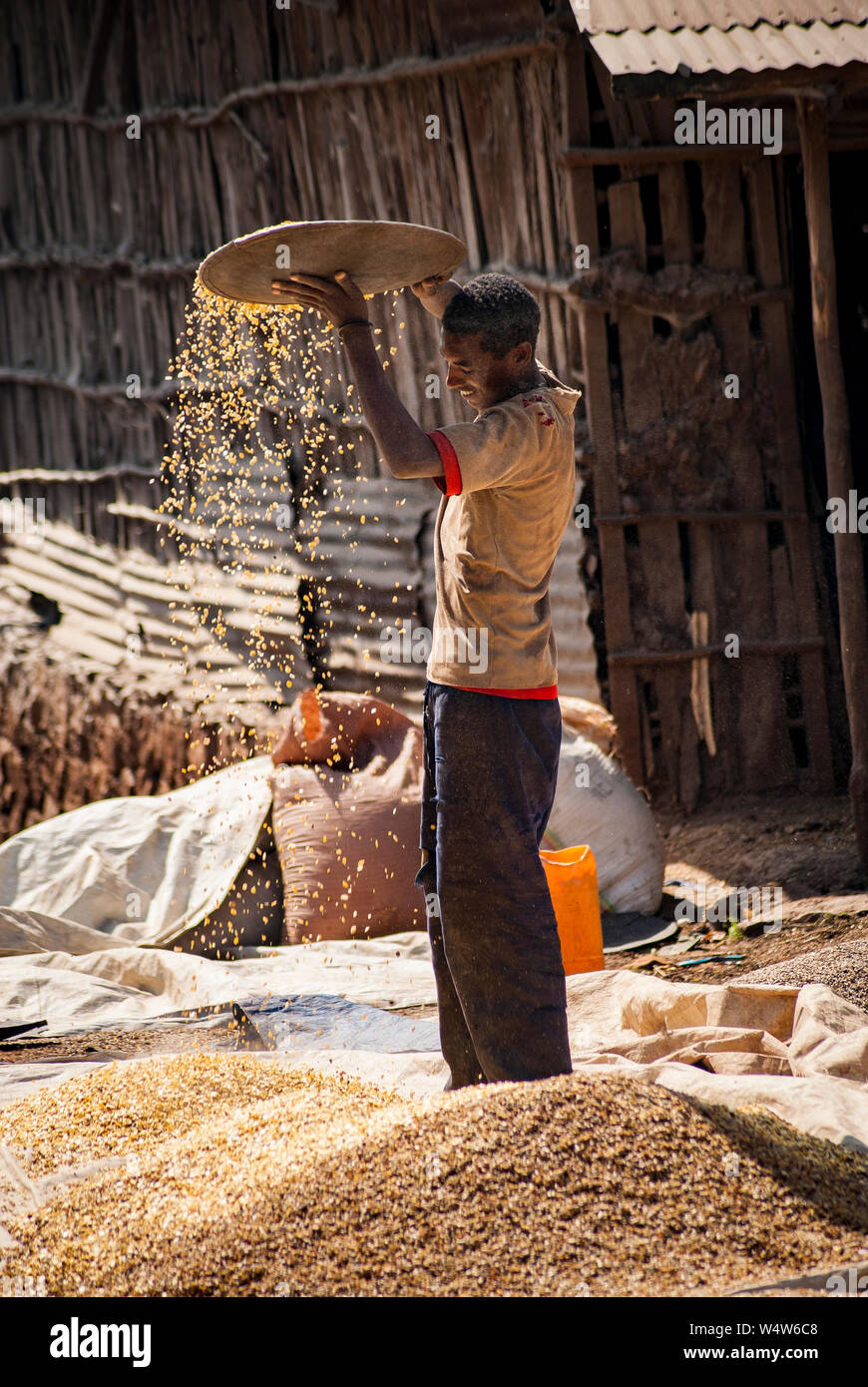 Man separating grain (threshing) for sale in a rural market in Illubabor, Ethiopia Stock Photo
