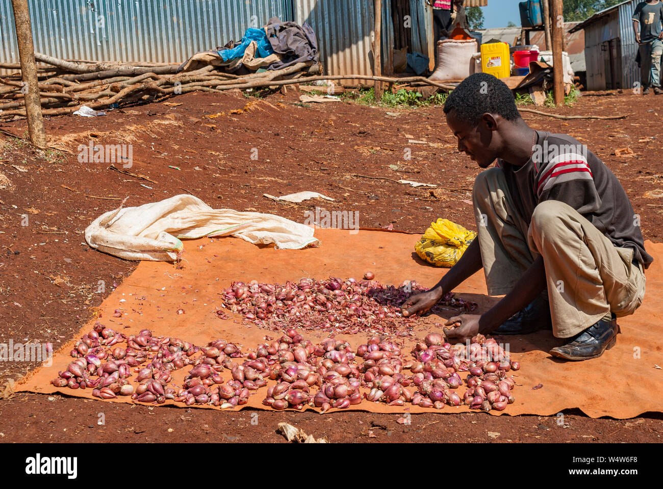 Man arranging home produced onions on a mat in a rural market in Western Ethiopia Stock Photo