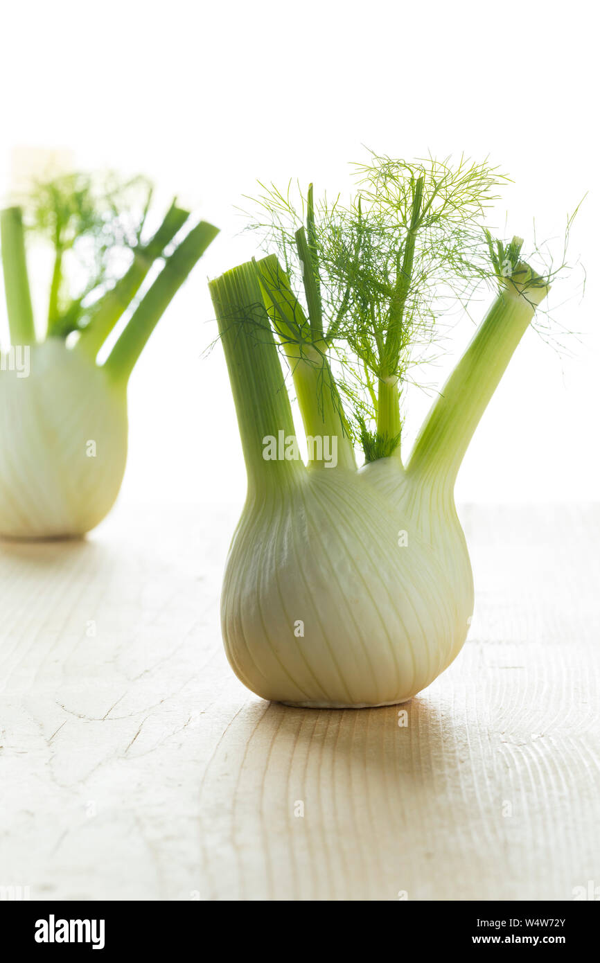 Fresh raw organic fennel bulb Stock Photo