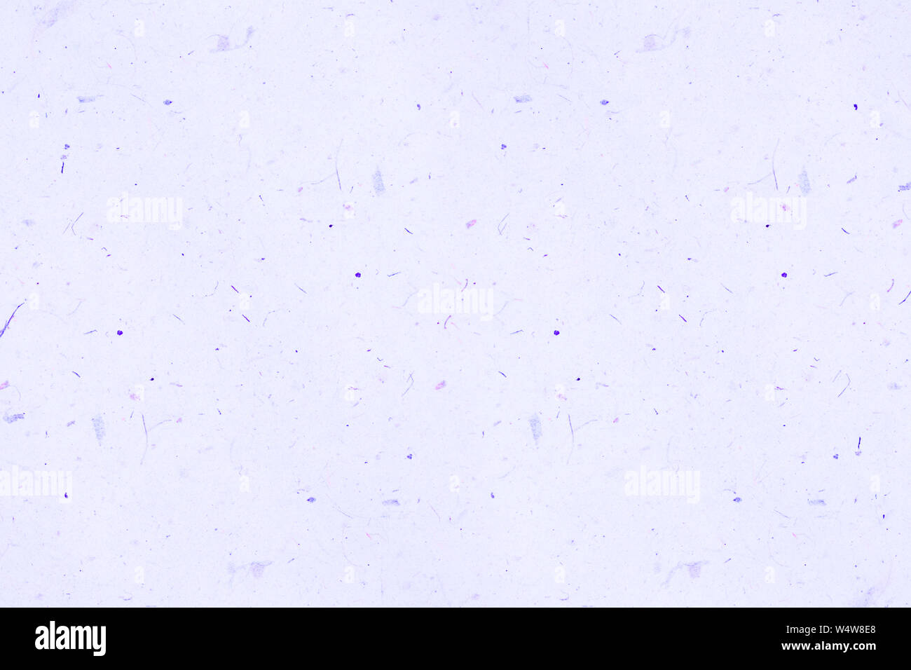 Purple paper texture for background Stock Photo - Alamy