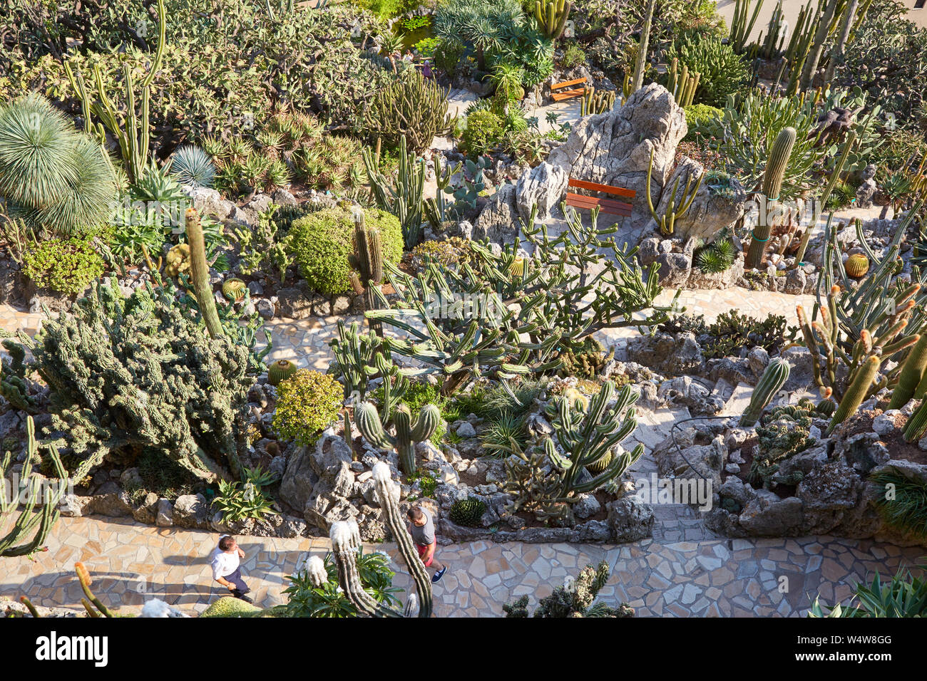 MONTE CARLO, MONACO - AUGUST 20, 2016: The exotic garden path with rare succulent plants and people in a sunny summer day in Monte Carlo, Monaco. Stock Photo