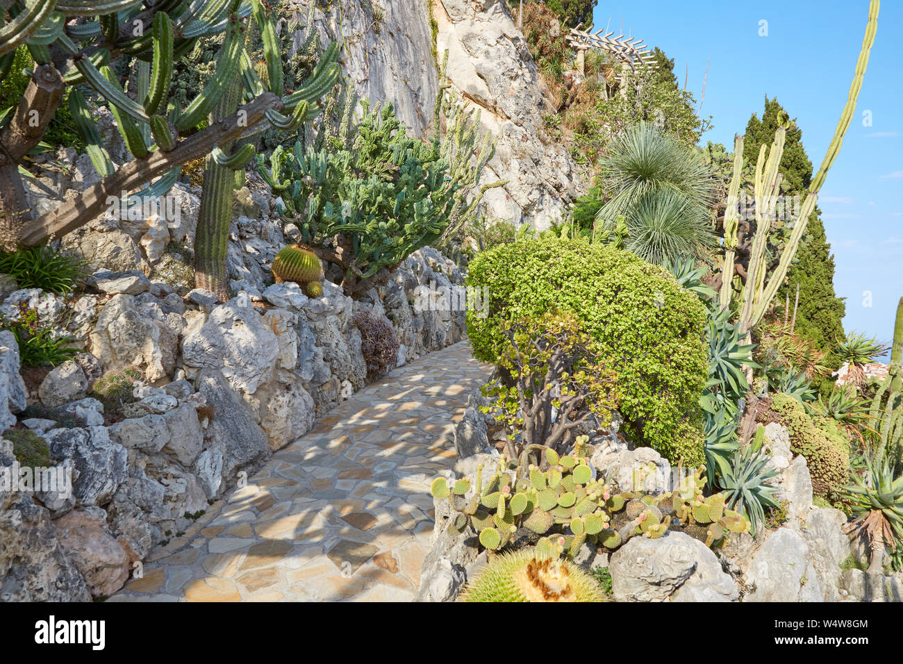 MONTE CARLO, MONACO - AUGUST 20, 2016: The exotic garden path and cliff with rare succulent plants in a sunny summer day in Monte Carlo, Monaco. Stock Photo