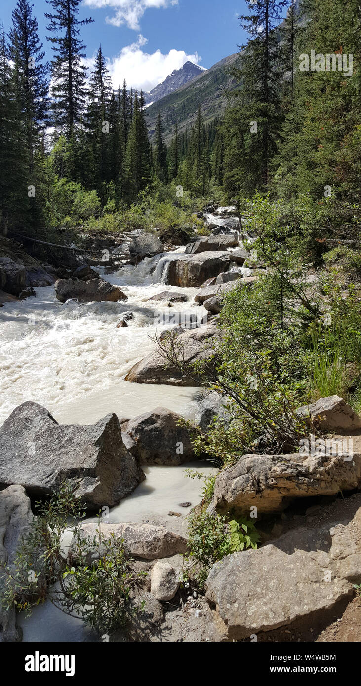 Water falls beautifully down the rocks and boulders of the large mountains of the Canadian Rockies. Stock Photo