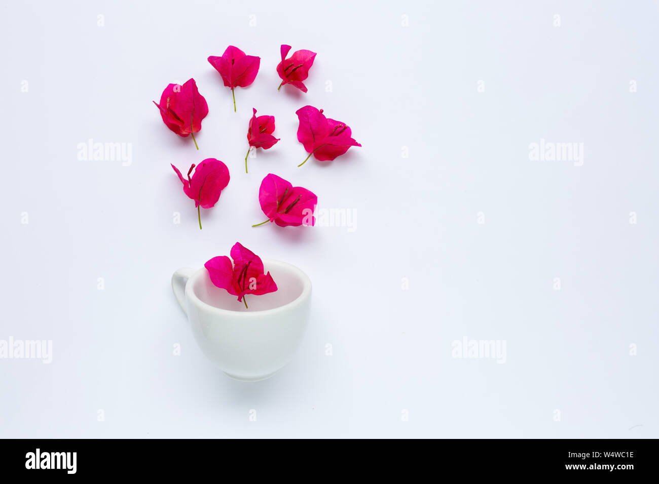 White cup with red bougainvillea flower on white background. Copy space Stock Photo
