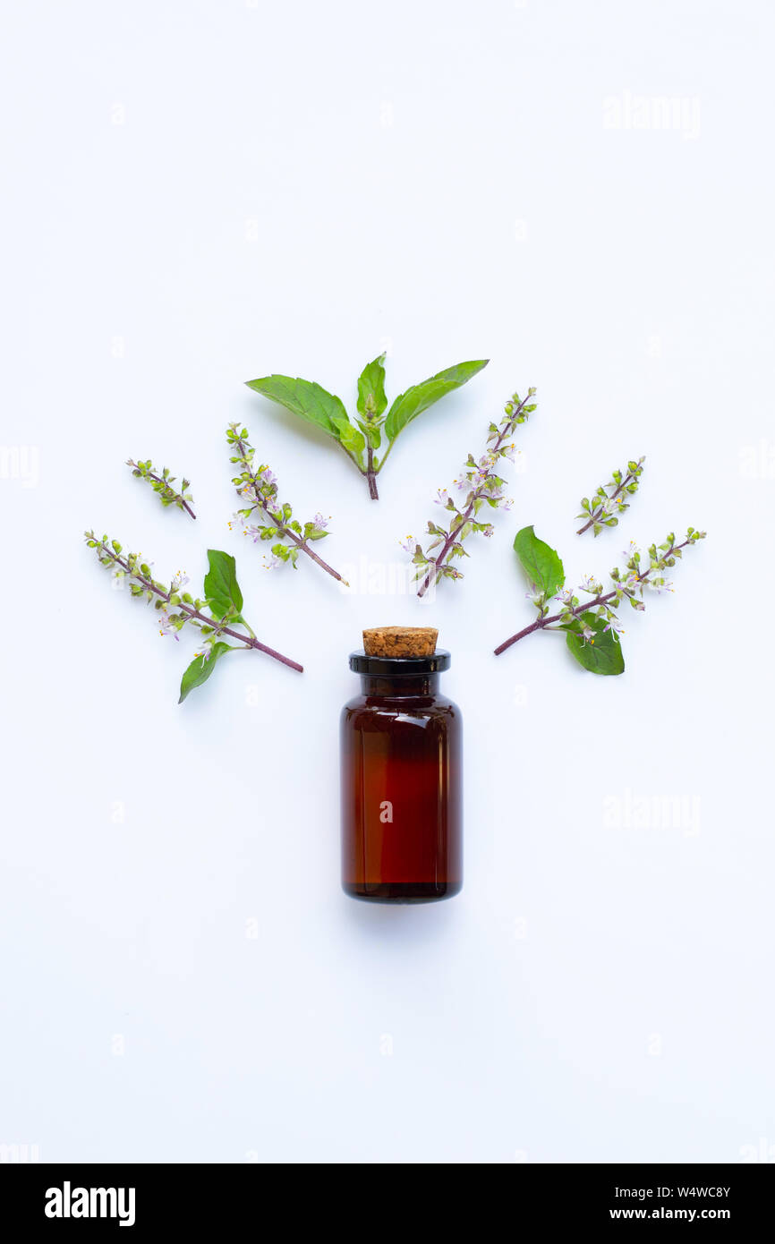 Holy Basil essential oil in a glass bottle with fresh holy basil leaves