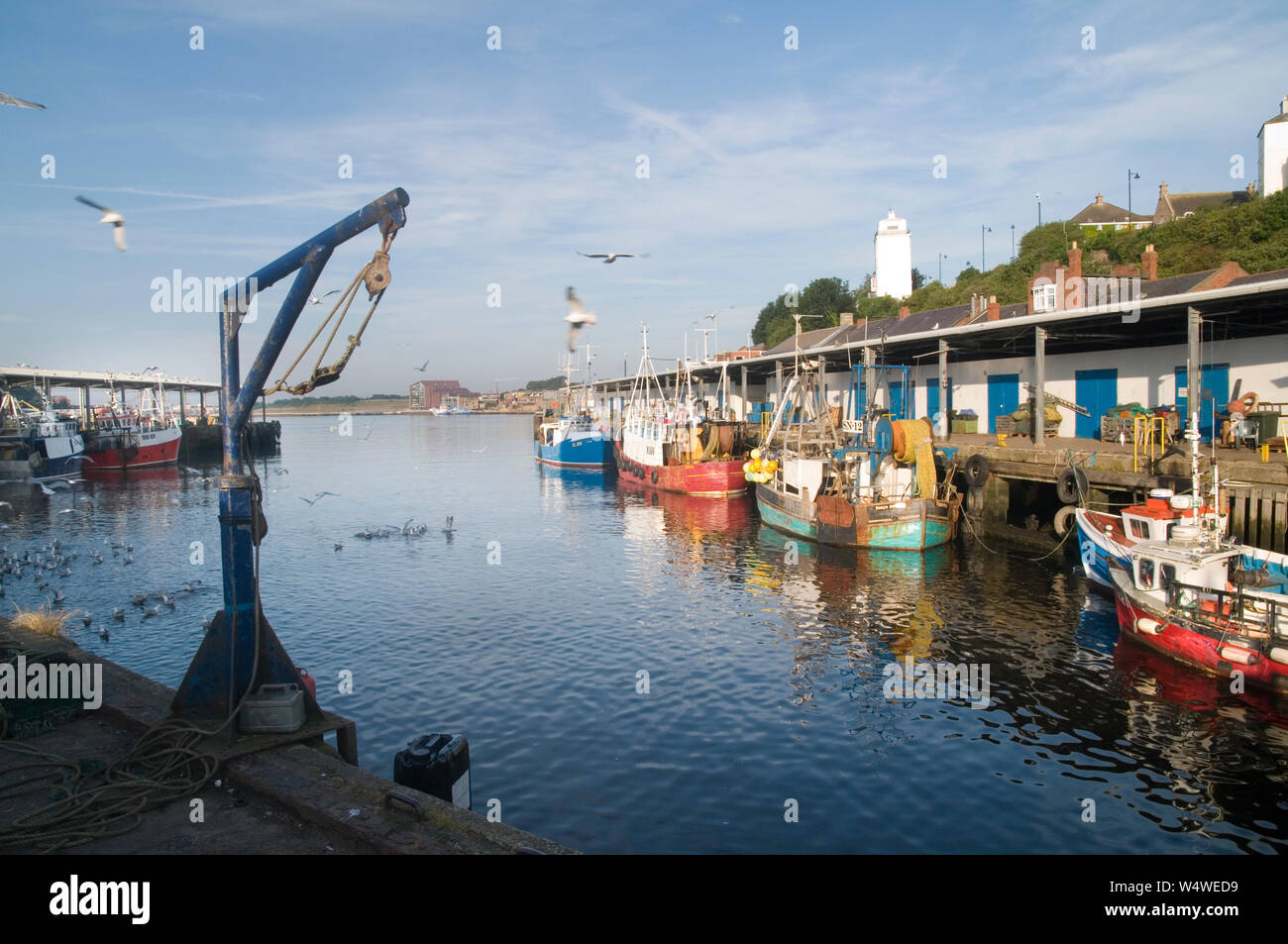 Boats in North Shields Fish Quay Stock Photo Alamy