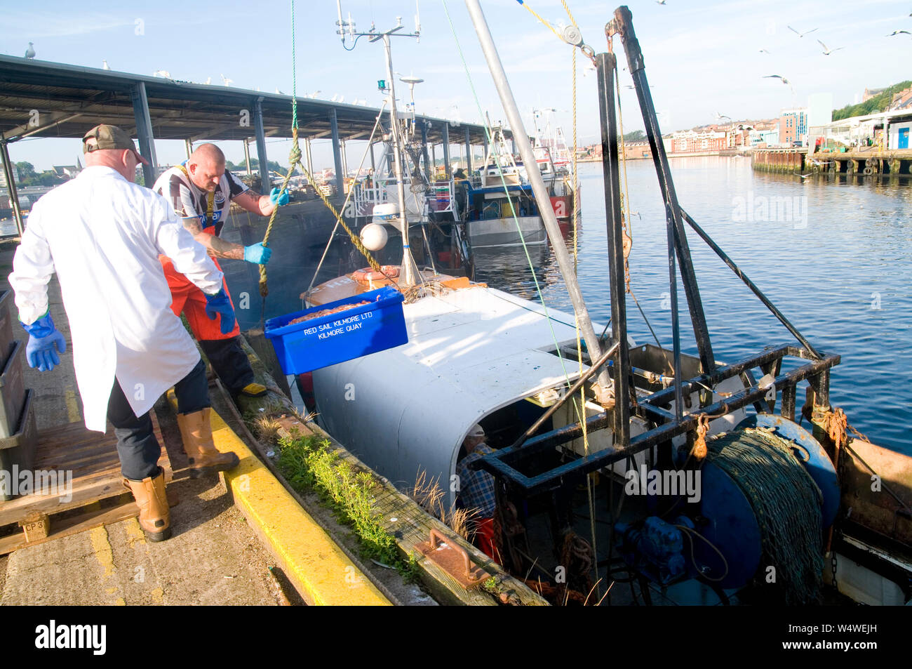 North Shields Fish Quay Stock Photo Alamy
