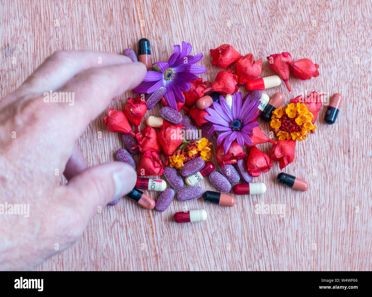 Amoxicillin and Flucloxacillin antibiotics, flowers and herbal pills. Homeopathy, alternative medicine..., concept image Stock Photo