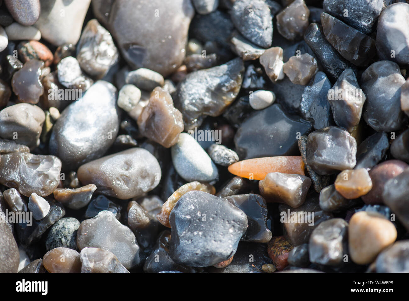 Thunderbolt, belemnite, fossil at Møns Klint in Denmark in between other  stones Stock Photo - Alamy