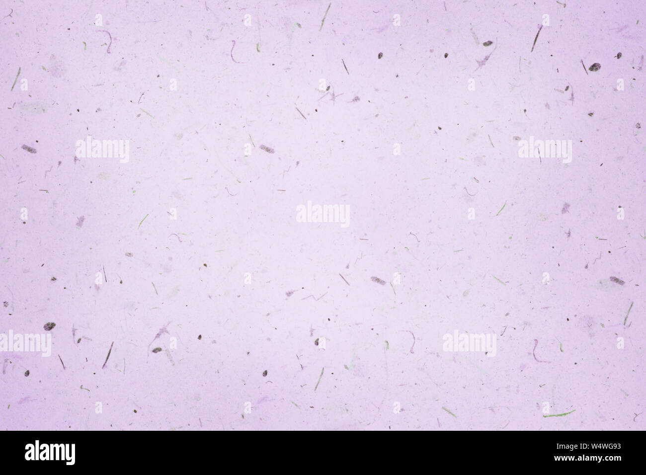 Purple paper texture background Stock Photo - Alamy