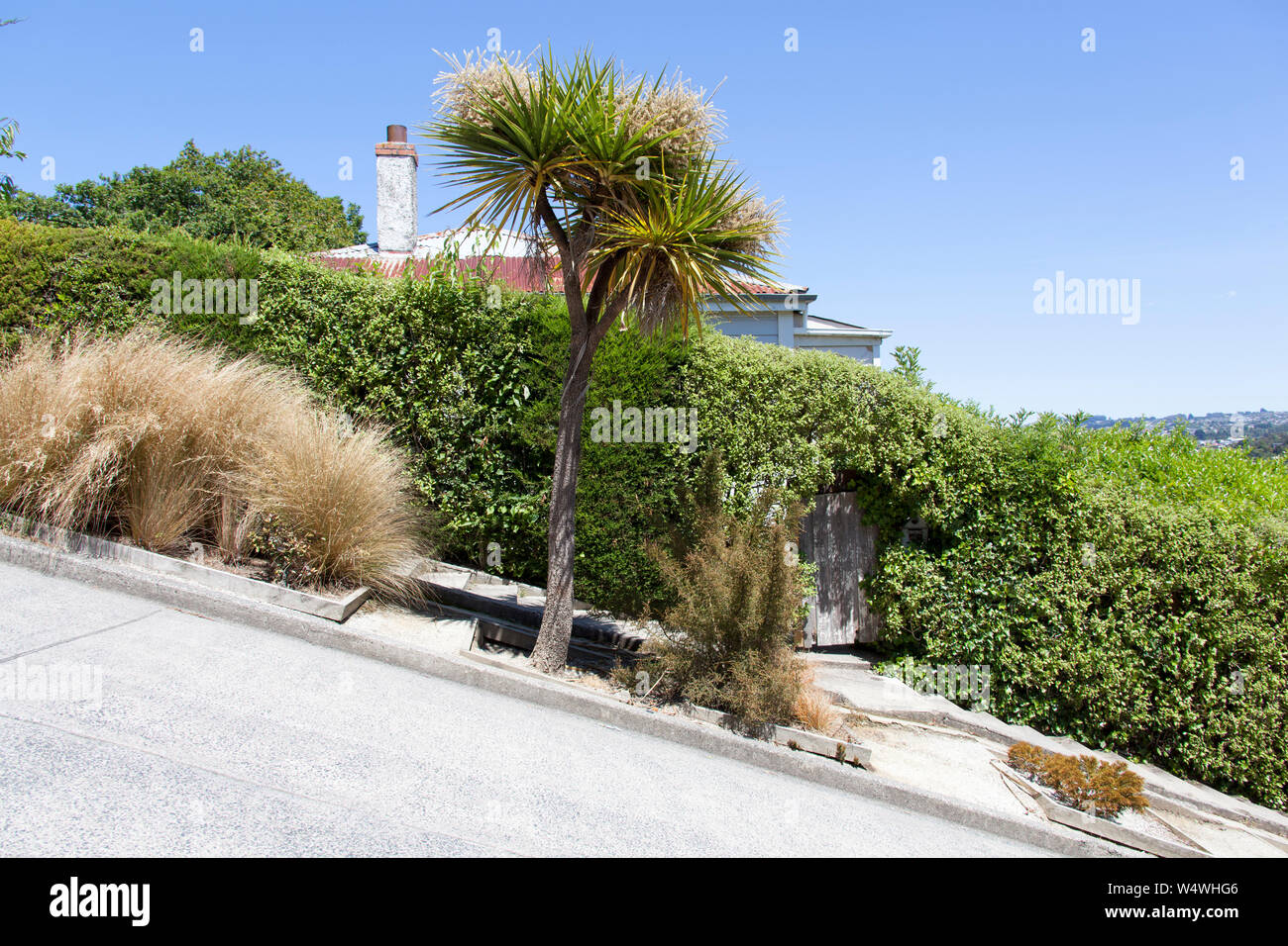 Baldwin Street in Dunedin city officially the steepest residential street in the world (New Zealand). Stock Photo