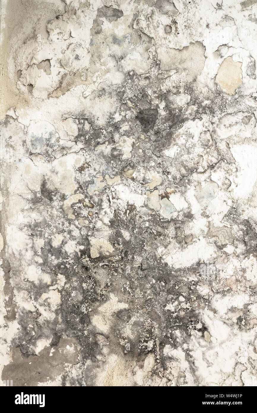 Effects of damp on plaster, damaged wall texture. Stock Photo